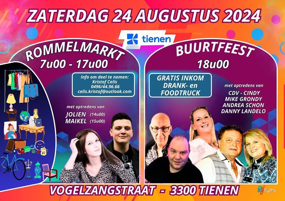 rommelmarkt / buurtfeest