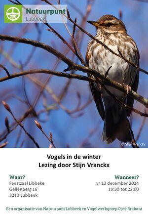 Vogels in de winter – Lezing door Stijn Vranckx